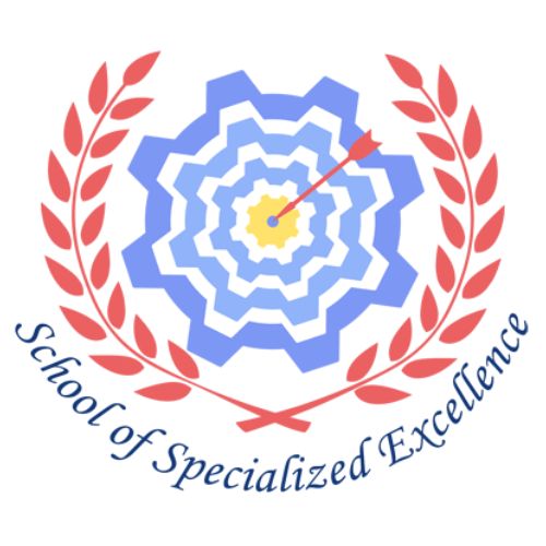 Dr. B.R. Ambedkar School of Specialised Excellence, Sector 18 Rohini