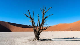 Schools in Namibia